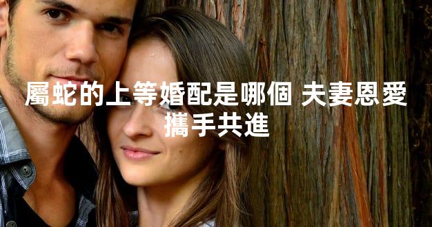 屬蛇的上等婚配是哪個 夫妻恩愛攜手共進